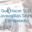 Qué Hacer Si El Lavavajillas Se Ha Estropeado