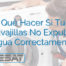 Qué Hacer Si Tu Lavavajillas No Expulsa El Agua Correctamente